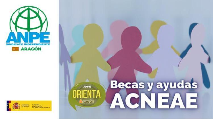 acneae