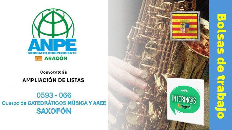 saxofon-bolsa