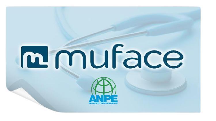 muface26